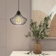 Светильник подвесной в стиле лофт MSK Electric Mexico NL 2825 - изображение 1