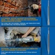 Набор зубил S&R Meister sds-plus 4 шт (114504250) - изображение 5