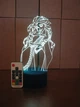 3d-светильник Эльза и Анна Холодное сердце Frozen, 3д-ночник, несколько подсветок (на пульте - изображение 5