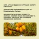 Ампула-еліксир з аргановою олією Sinergy Potion d'or 1*50 мл - зображення 3
