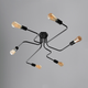 Люстра лофт MSK Electric Maze паук NL 10084/6 - изображение 1