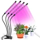 Гибкая светодиодная Фитолампа Grow Light 7819 для выращивания комнатных растений полный спектр фитосветильник для комнатных цветов, рассады, орхидей на 4 лампы USB 0042286 - изображение 11