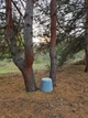 Пуф Conus Pouf d=60см h=45см Бирюзовый (3006) - изображение 2