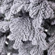Ялинка штучна 2.3 м Говерла засніжена - зображення 6