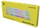 Клавиатура Hator Gravity X TKL белый (534022) - изображение 5