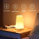 Сенсорная настольна LED лампа - ночник RGB с аккумулятором / регулированая яркость / смена цветов + пульт управления - изображение 12