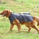 Світловідбивне тепле пальто для собак Derby DJ64 Grey S - зображення 3