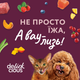 Консервированный корм Delickcious Кусочки с уткой, куриным филе и шпинатом в соусе 85 г (B5410101) - изображение 9