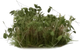 Trawa do dekoru Gamers Grass Special tufts Dark Green Shrub Wild 6 mm (738956788061) - obraz 1