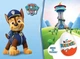 Шоколадне яйце Kinder Surprise Paw Patrol Überraschungs 20 г - зображення 4