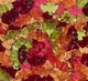 Жувальні цукерки у формі кажанів Haribo Sour Bats Gummy Candy 113г - зображення 5