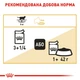 Royal Canin British Shorthair Adult Корм ​​Для Котів Породи Британська Короткошерста Паучі 0,085 кг (9003579001257) (2032001) - зображення 5