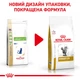 Royal Canin Urinary S/O Feline Сухий Корм ​​Для Котів При Захворюваннях Нижніх Сечовивідних Шляхів 1,5 кг (3182550711159) - зображення 7