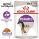 Royal Canin Sterilised Jelly 0.085 кг (9003579311776) (4156001) - зображення 8
