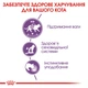 Royal Canin Sterilised Jelly 0.085 кг (9003579311776) (4156001) - зображення 9