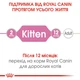 Royal Canin Kitten Instinctive In Jelly Консервування Корм ​​Для Кошенят У Желе Паучі 0,085 кг (9003579311714) (4150001) - зображення 5
