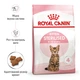 Kitten Sterilised 0.4 кг | Royal Canin | Сухий корм для стерилізованих кошенят (3182550805155) (2562004) - изображение 10
