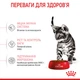 Kitten Sterilised 0.4 кг | Royal Canin | Сухий корм для стерилізованих кошенят (3182550805155) (2562004) - изображение 11