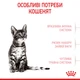 Kitten Sterilised 0.4 кг | Royal Canin | Сухий корм для стерилізованих кошенят (3182550805155) (2562004) - изображение 12