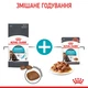 Royal Canin Urinary Care Консервування Корм ​​Для Котів Підтримання Здоров'я Сечовідільної Системи 0,085 кг (9003579000366) (41570019) - зображення 5