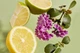 Скраб для тела Haan Body Scrub Purifying Verbena Очищающая вербена 200 мл (5060917125727) - изображение 3