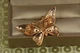 Брошь Xuping Jewelry бабочка Репейница 2,5 см золотистая - изображение 2