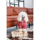 Одежда Pet Fashion Cherry Комбинезон для собак-девочек S2 (1111180541) - изображение 7