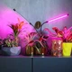Фито лампа Led Plant Grow Leight USB Двойная - изображение 5