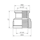 Муфта перехідна латунна LexLine 3/4" × 1/2" ВВ, PN10 - зображення 2