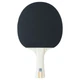 Ракетка для настільного тенісу Stiga Evolve FL (1211-8318-01) - изображение 4
