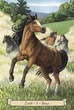 Карты Оракул Повседневные ведьмы-помощники - Everyday Witch's Familiars Oracle - изображение 5