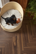 Ламінат Berry Alloc Chateau + A B8111 Walnut Brown 1.0161 м² упаковка 33 клас (62002730) - зображення 4