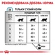 Royal Canin Sensitivity Control Cat 1.5 кг | Сухий корм для котів при небажаній реакції на корм (3182550939638) (39090150) - изображение 5