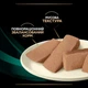 Влажный корм Pro Plan Veterinary Diets EN для собак для устранения расстройств пищеварения, мусс 195 г - изображение 6