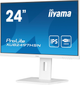 Монитор iiyama ProLite XUB2497HSN-W1 (XUB2497HSN-W1) - изображение 3