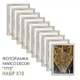 Фоторамка MARCO DECOR 1713 - 64G 30x40 см, белая с золотом, набор 10 шт - изображение 6