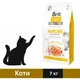 Сухой корм Brit Care GF Haircare Healthy and Shiny Coat для кошек для поддержания здоровья кожи и шерсти с лососем 7 кг (8595602540877) - изображение 1