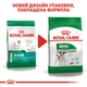 Royal Canin Royal Canin Mini Adult | Сухий корм для дорослих собак 8 кг (3182551055757) (30010080) - зображення 11