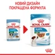 Royal Canin Mini Puppy Консервування Корм ​​Для Цуценят 0,085 кг (9003579008218) (10990019) - зображення 12