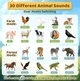 Дитяча інтерактивна іграшка Горн зі звуками тварин Animal Caller із імітацією 30 звуків тварин - зображення 3