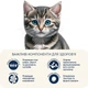 Сухий корм Home Food з ягням та рисом для кошенят 1.6 кг (4820235020163) - зображення 6