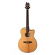 Гітара електроакустична PRS SE A50E - Natural w / Black Gold Burst (SEAE50EBG) - зображення 1