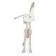 Стульчик для кормления Bambi M 4136-2 Pink до 3 лет, розовый - изображение 4