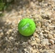 Массажный силиконовый мяч PowerPlay PP-4354 Silicone Lacrosse Ball (6.5см.) Зеленый (A-013220) - изображение 7