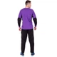 Форма футбольного вратаря SP-GOAL CO-5906 (PL, р-р XL, Фиолетовый) (CO-5906_Фиолетовый_XL) - изображение 2