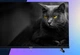 Телевізор Hisense QLED 32" 32A5KQ - зображення 19