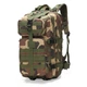 Тактический штурмовой военный рюкзак Armour Tactical C35 Oxford 600D (с системой MOLLE) 35 литров Лес - изображение 2