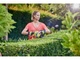 Кущоріз Ryobi RHT4550 - изображение 8