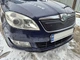 Зимова накладка на решітку (2010-2026, верхня) Матова для Skoda Roomster рр - зображення 2