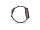 Смарт-часи Garmin Forerunner 255 Slate Gray (010-02641-00/10) - зображення 4